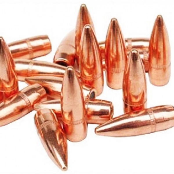 Bullet FIOCCHI .223REM 55gr