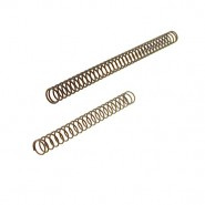 Tanfoglio Stock III Recoil Spring 75AA